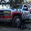 Browns Towing